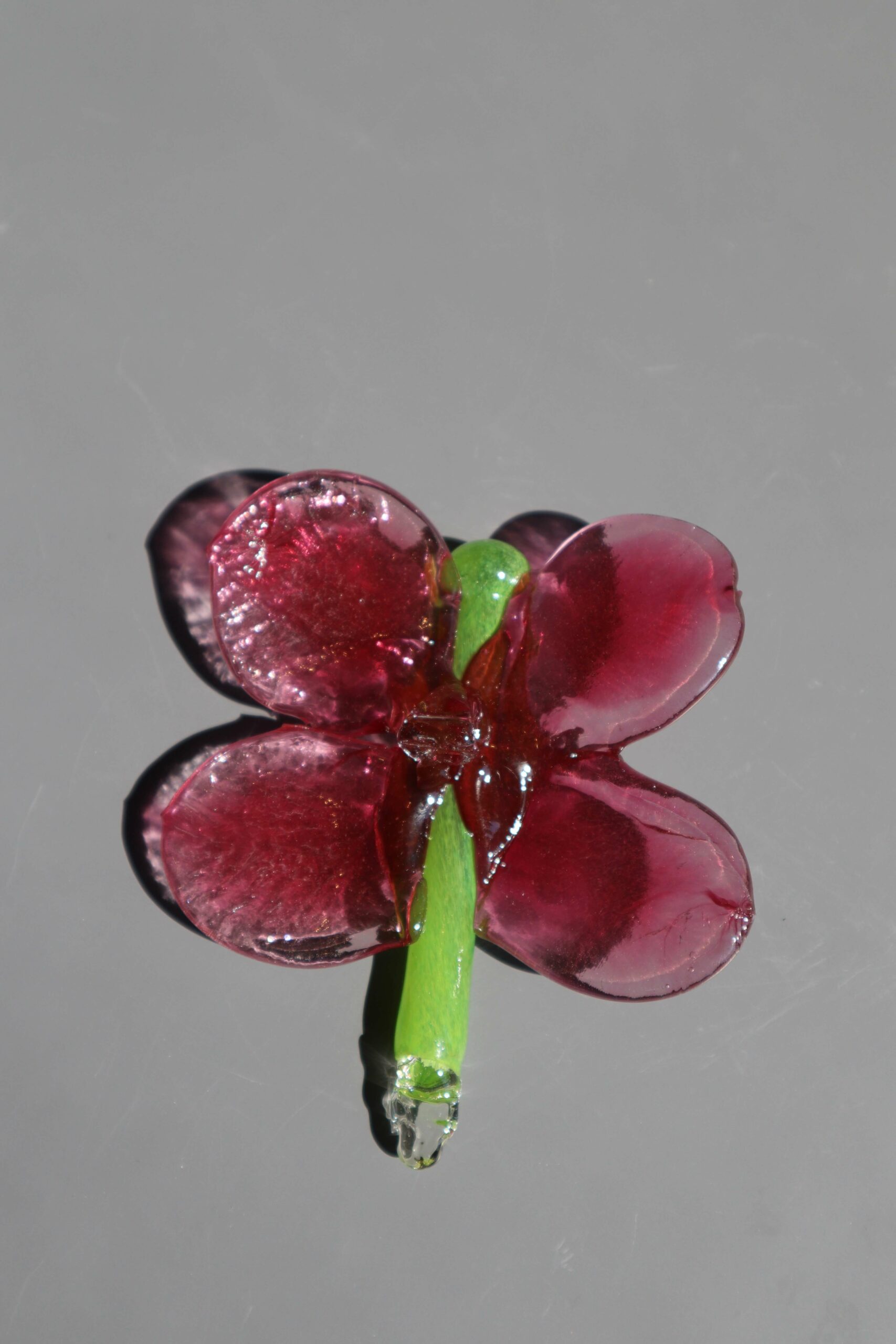 Variation picture for Vinrød