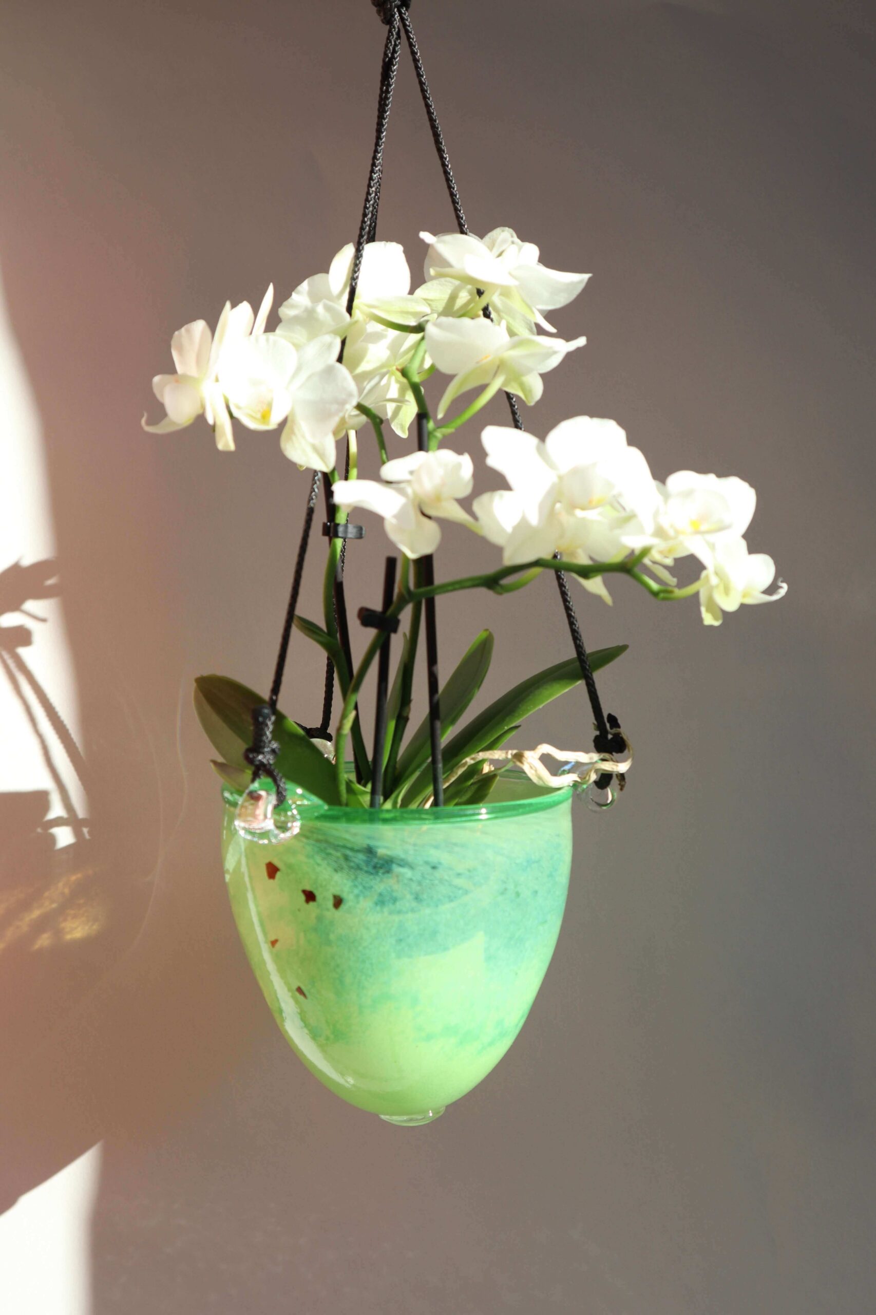 Variation picture for Grønn 1