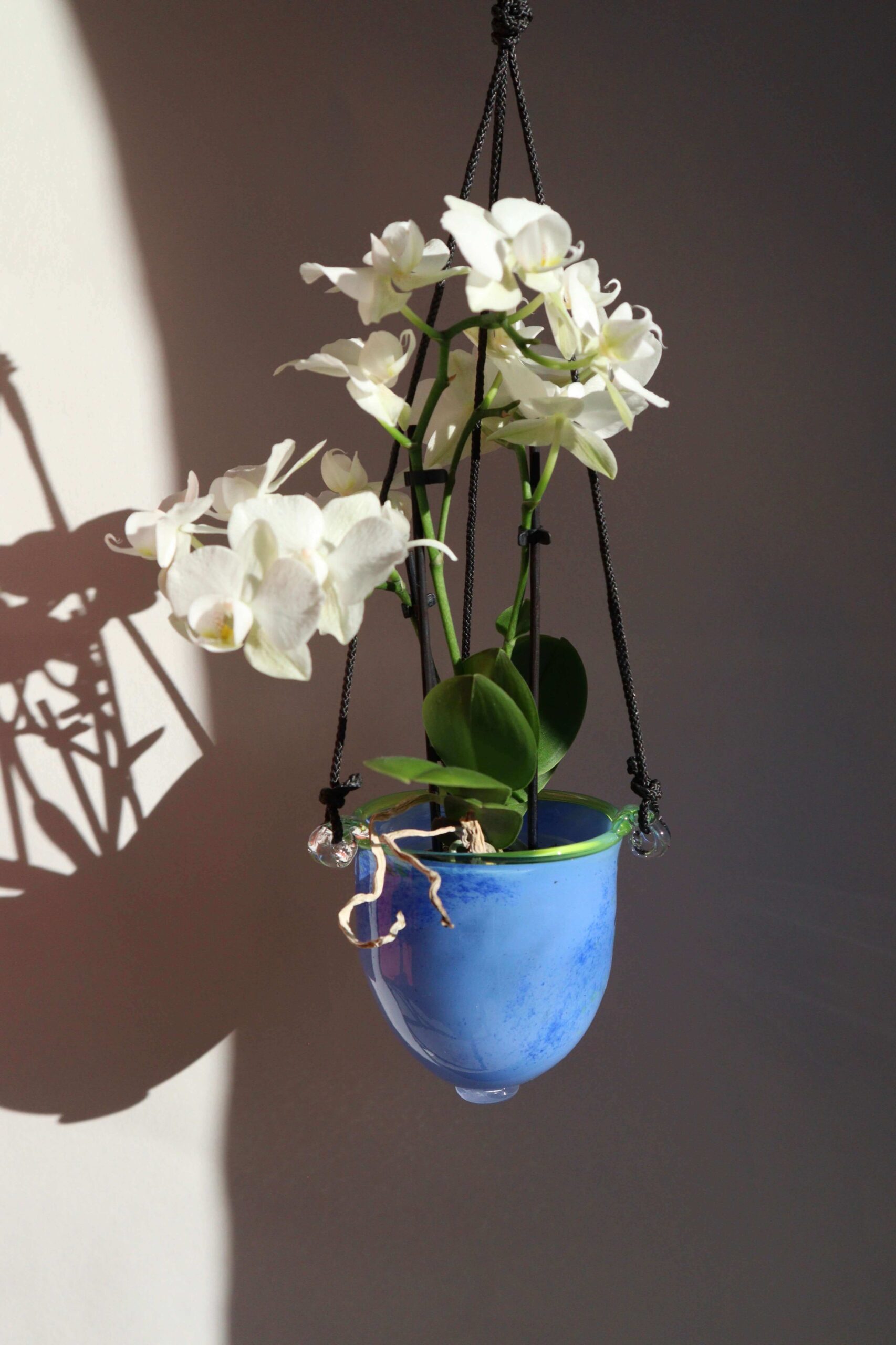 Variation picture for Blå