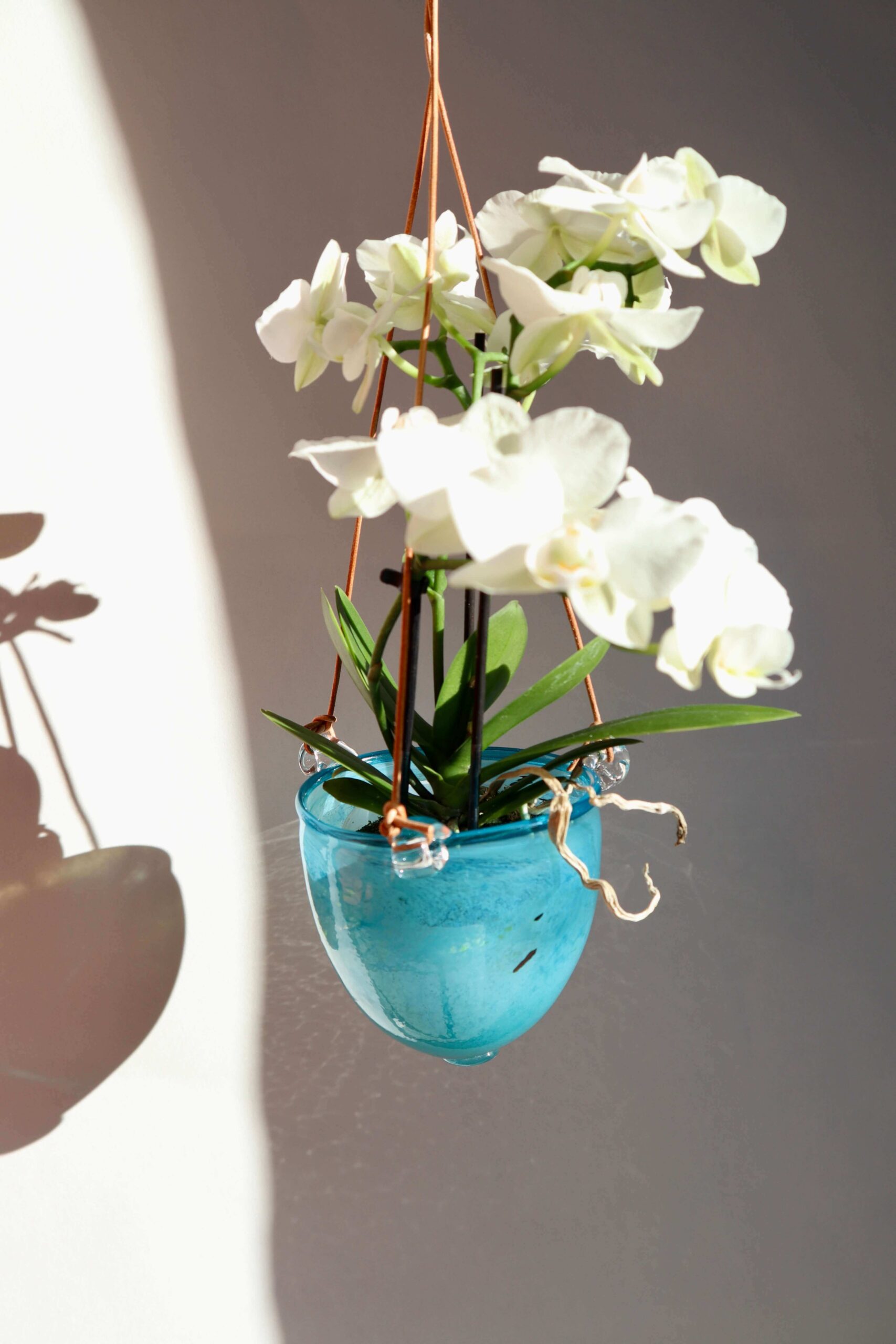 Variation picture for Turkis